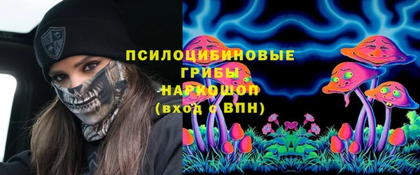 ешки Богородск