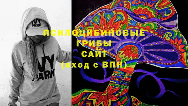 бошки Богородицк